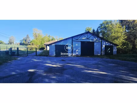 local commercial boisseuil 300m²