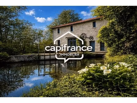 ensemble immobilier de caractère sur plus de 2 hectares bordés par la rivière à vendre la 