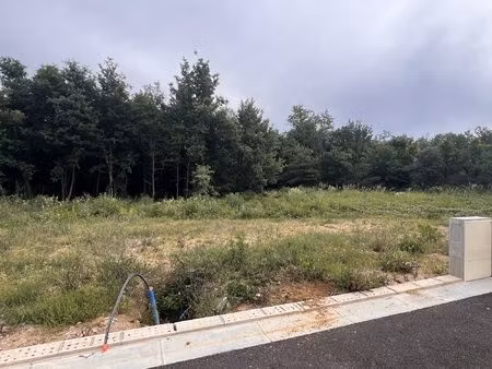 magnifique parcelle