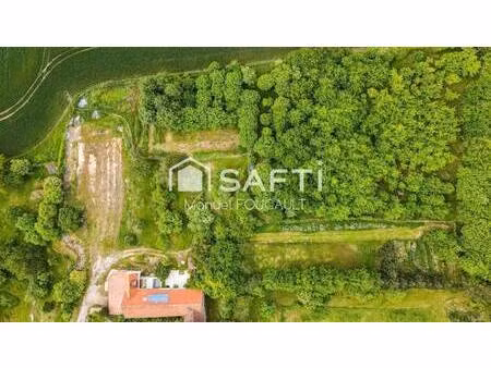 safti foucault manuel conseiller indépendant
