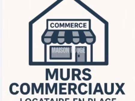 immobilier professionnel à vendre nice