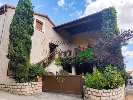 achat appartement 1 pièce 95m² st martin la plaine 42800
