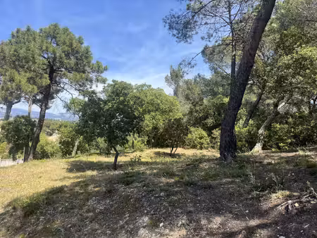 terrain en zone naturelle forêt