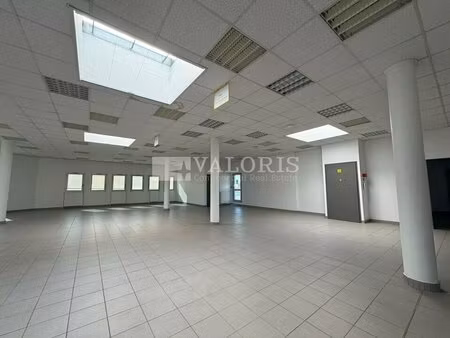 location local professionnel 421m² meyzieu 69330