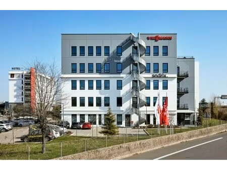 location local professionnel 872m² st priest 69800