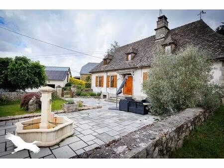 vente maison 7 pièces 217 m² gros-chastang (19320)