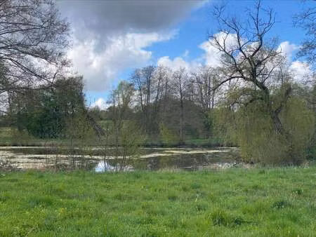 vente bois  forêt et étang à planches (61370) : à vendre / planches