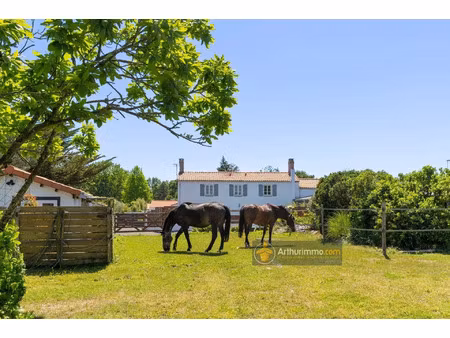 vente maison 10 pièces 175 m2 à bois-de-céné