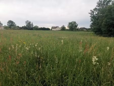 terrain à bâtir à peyrignac (24210)
