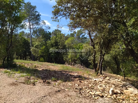 le thoronet - terrain constructible de 1613m²