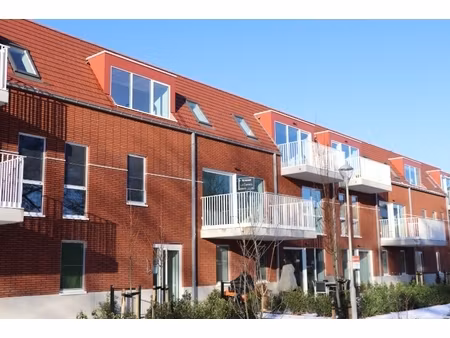 appartement te huur in rumst met 1 slaapkamer