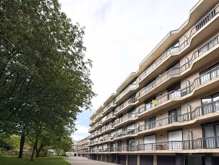 appartement met twee slaapkamers  twee terrassen en garage in het hartje van beveren