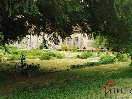 vente maison 13 pièces 333 m² chassigny (52190)