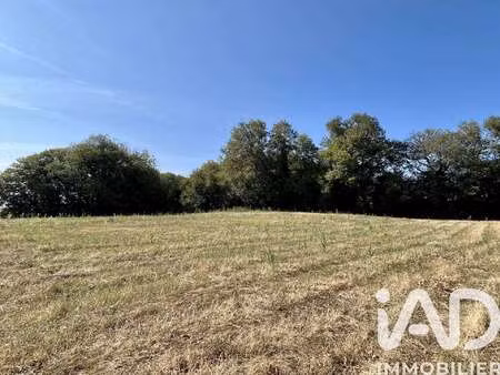 vente terrain à paulin (24590) : à vendre / 4396m² paulin