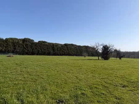 terrain à bâtir à fargues (33210)
