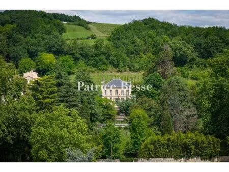 dans l'entre-deux-mers  à 30 min de bordeaux  un château viticole édifié au 19e s.  avec..