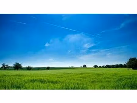 terrain de 1131 m2 en vente - les sables-d'olonne  pays de la loire