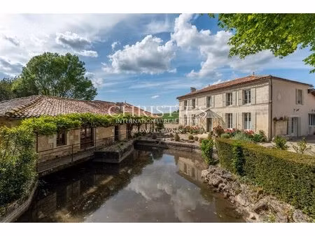 magnifique propriété avec maison de maître  moulin et gîtes