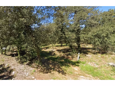 vente terrain à construire 1975 m² sainte-anastasie-sur-issole (83136)