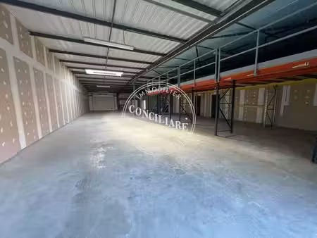 location entrepôt mondouzil 31850 862m²