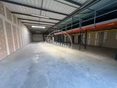 location entrepôt mondouzil 31850 862m²