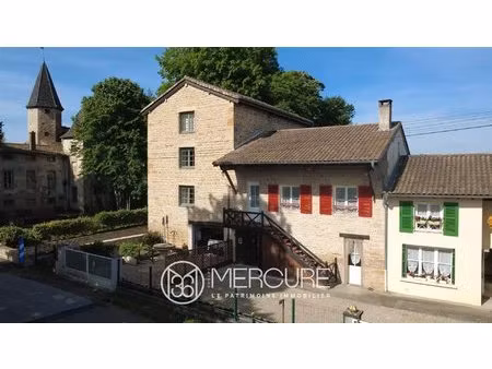 moulin et ferme rénovés du château d’estours  plus jardin et piscine