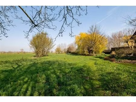 terrain à vendre à beerveldestraat 35 lokeren (rbv94314)
