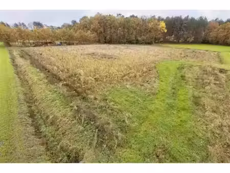 terrain agricole à vendre à moleneinde lille (rbv94057)