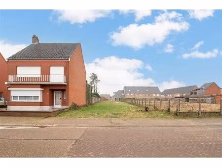 terrain à vendre à nieuwebaan 6 westerlo (rbv94013)