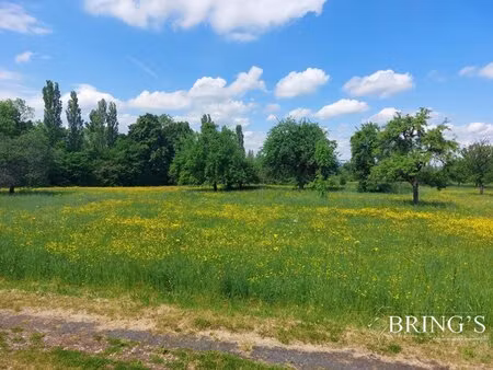 en vente terrain constructible 28 5 ares – 125 000 € |phalsbourg