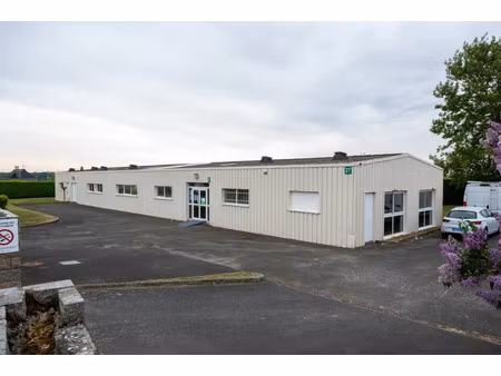 vente local industriel langueux (22360)