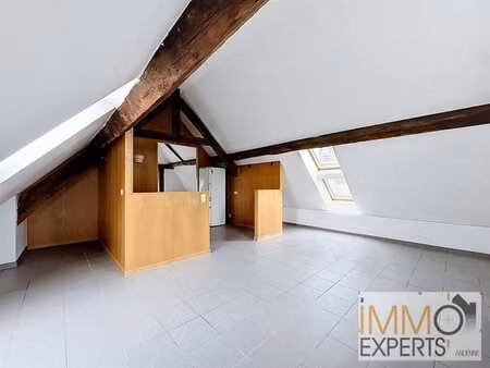 appartement 1 chambre en bord de meuse