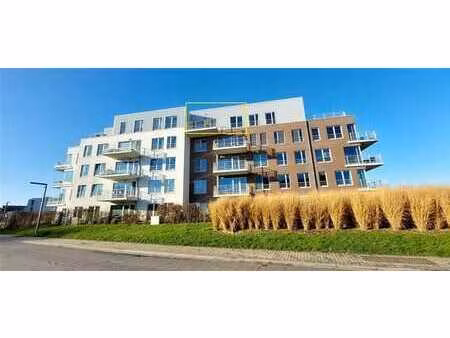 appartement 1 chambre 700 € + 65 € charges communes + 70 € p