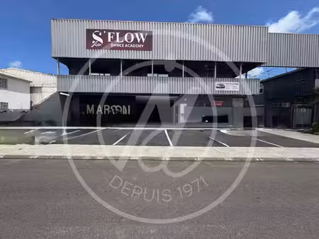 sn agence molinard immobilier