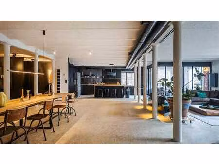 lumineux loft avec terrasse et parking