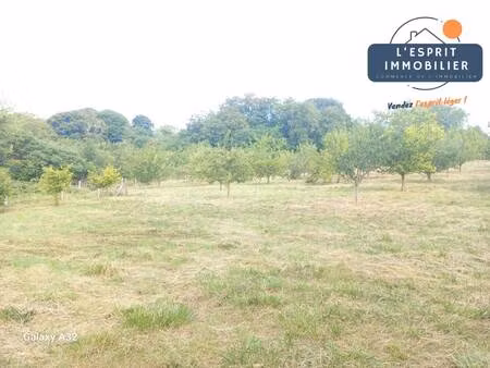 terrain constructible à vendre