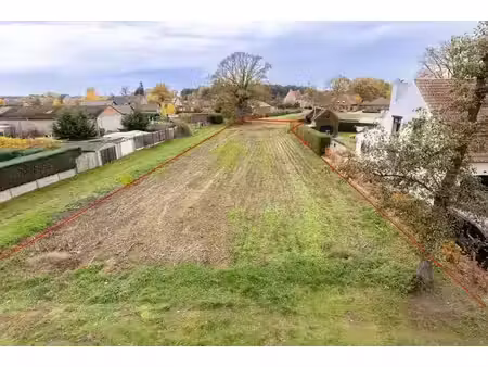 terrain