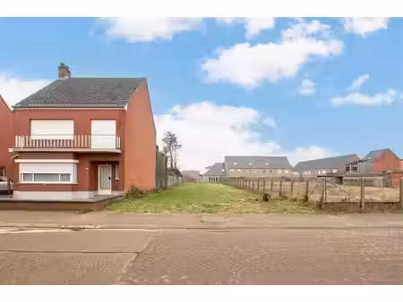 terrain