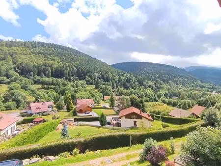 les professionnels de l'immobilier