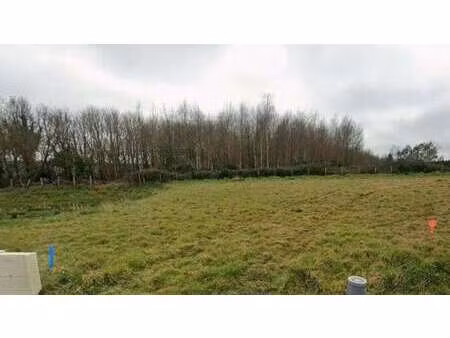 vente terrain à blain (44130) : à vendre / blain
