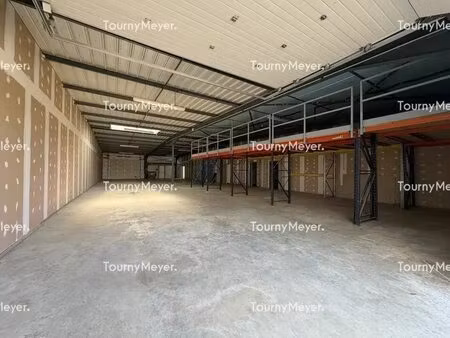 vente entrepôt mondouzil 31850 250m² à 1330m²