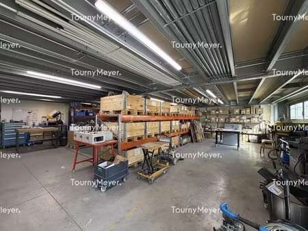 location local d’activités montrabe 31850 396m²