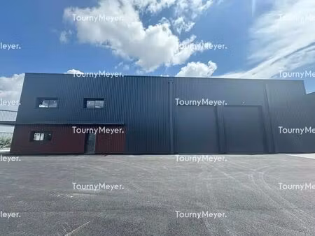 location local d’activités villeneuve tolosane 31270 730m²
