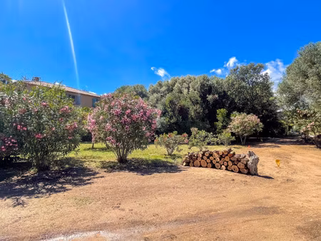 terrain à vendre olmeto 525m2 278 000€