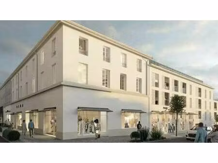 vente commerce la roche sur yon 85000 358m²