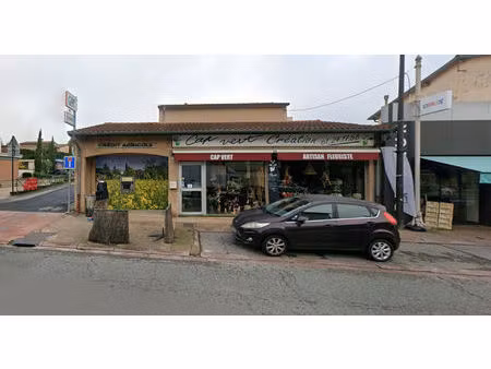 murs commerciaux quint-fonsegrives