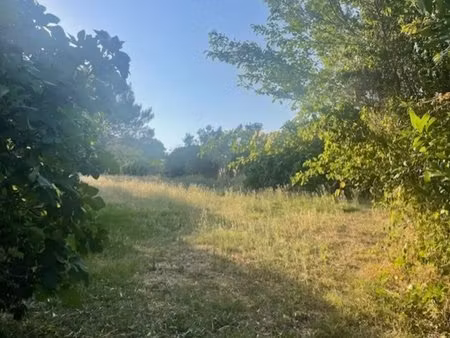 terrain plat dans mauressac