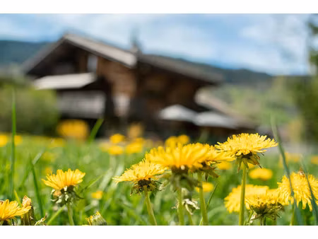 chalet de luxe à vendre à megève