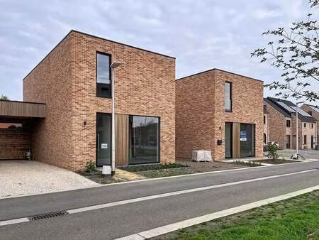 maison à louer à maaseik € 1.450 (lod8g) - beneca vastgoed | zimmo