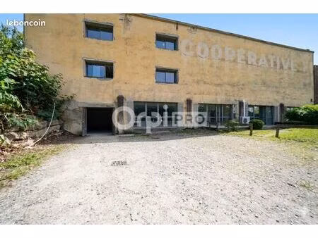 bureau 260 m²
